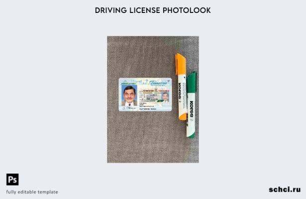 цифровая загрузка США, Теннесси, шаблон DL Photolook FRONT